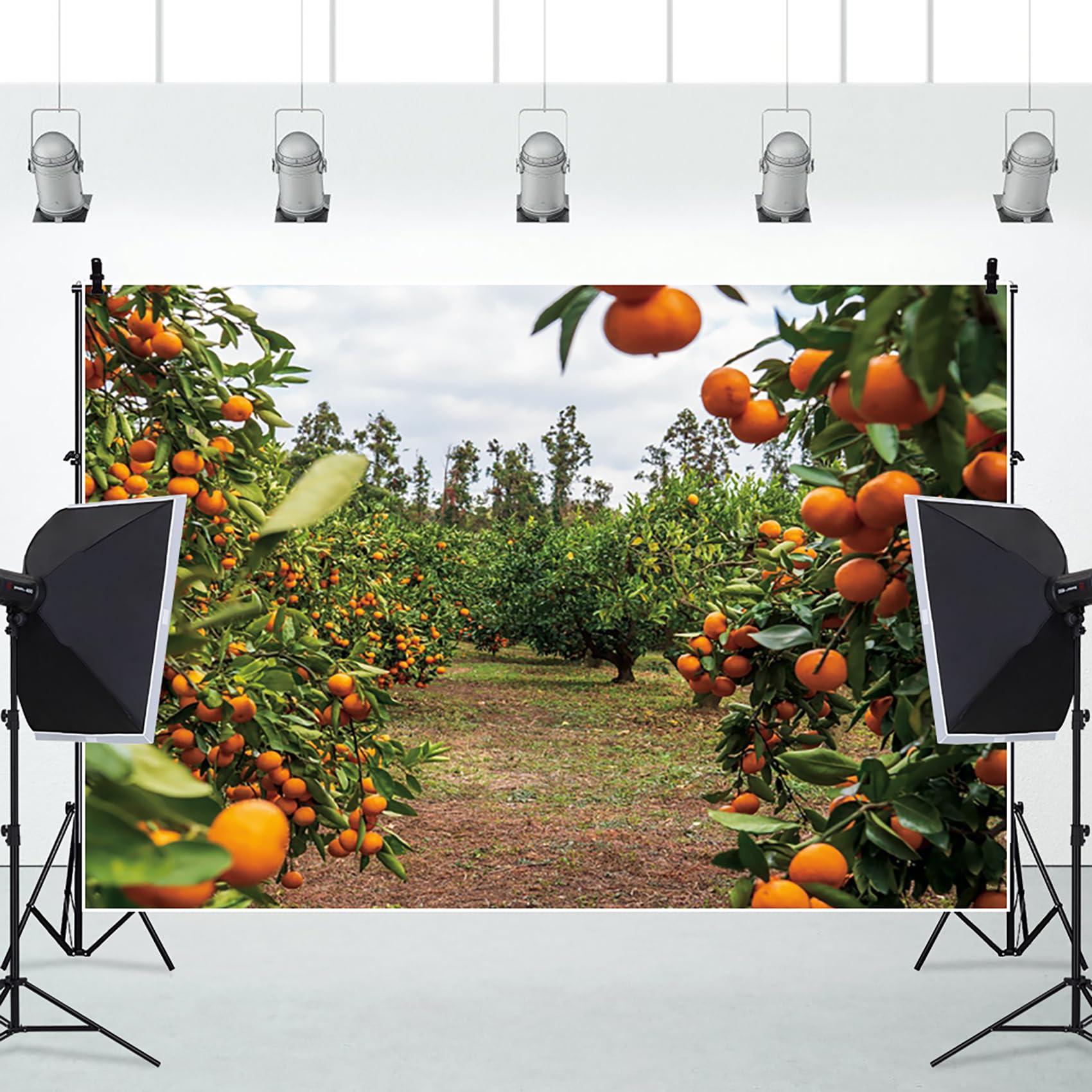 Renaiss 10x8ft Orange Trees Backdrop for Photoshoot Autumn Harvest Tangerine Orchard Photography Background Photo Booth Live Broadcast Video Props Rural Portraiture Outdoor Events Party Decoration - Image 5