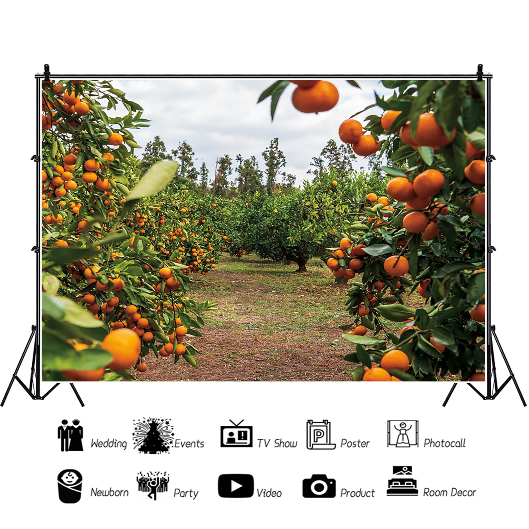 Renaiss 10x8ft Orange Trees Backdrop for Photoshoot Autumn Harvest Tangerine Orchard Photography Background Photo Booth Live Broadcast Video Props Rural Portraiture Outdoor Events Party Decoration - Image 6